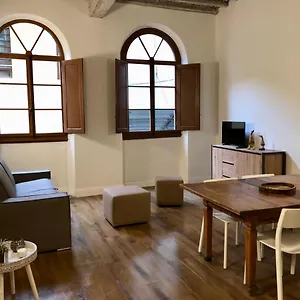 Novella Firenze